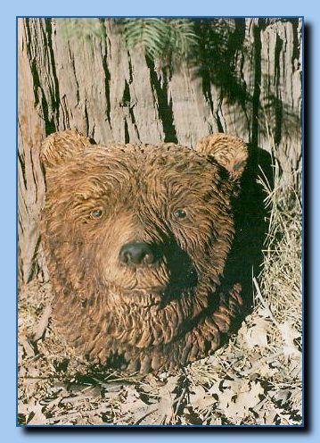 2-45 bear for wall attachment